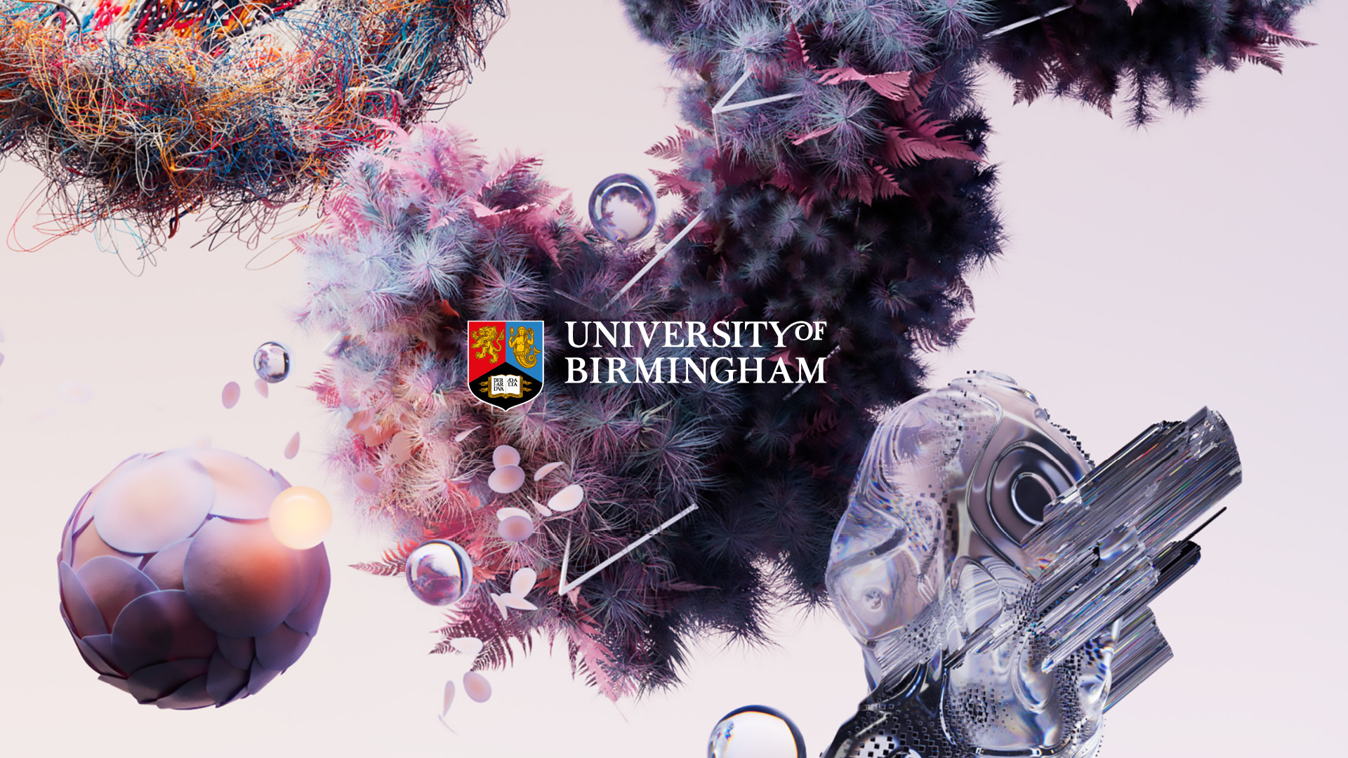 University of Birmingham