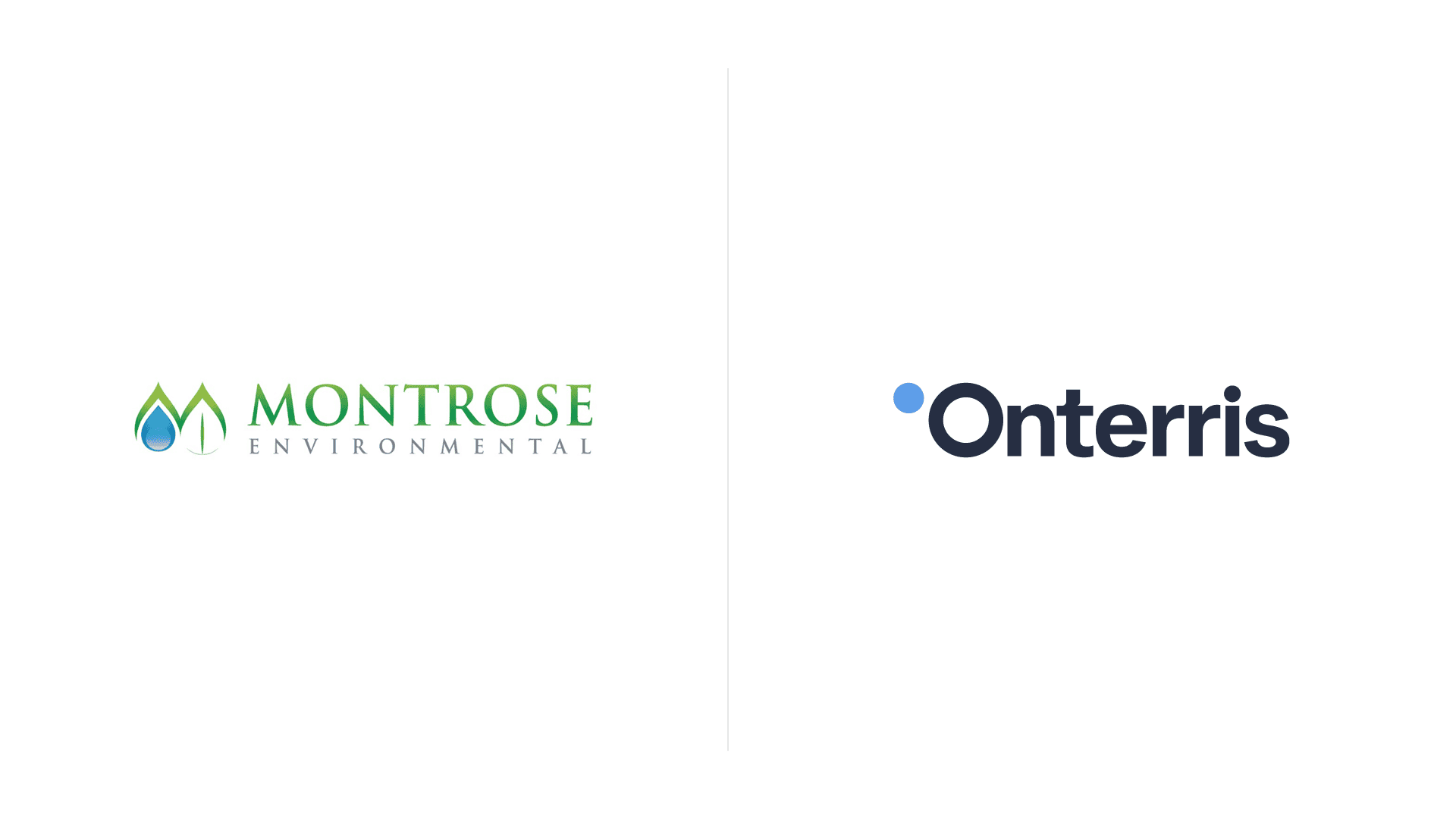 Unifying ten businesses into one grounded identity.