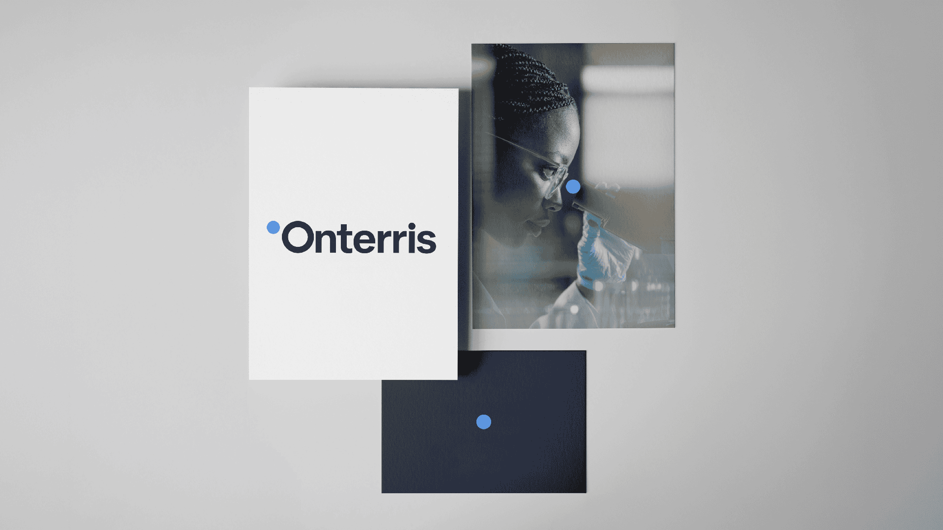 Unifying ten businesses into one grounded identity.