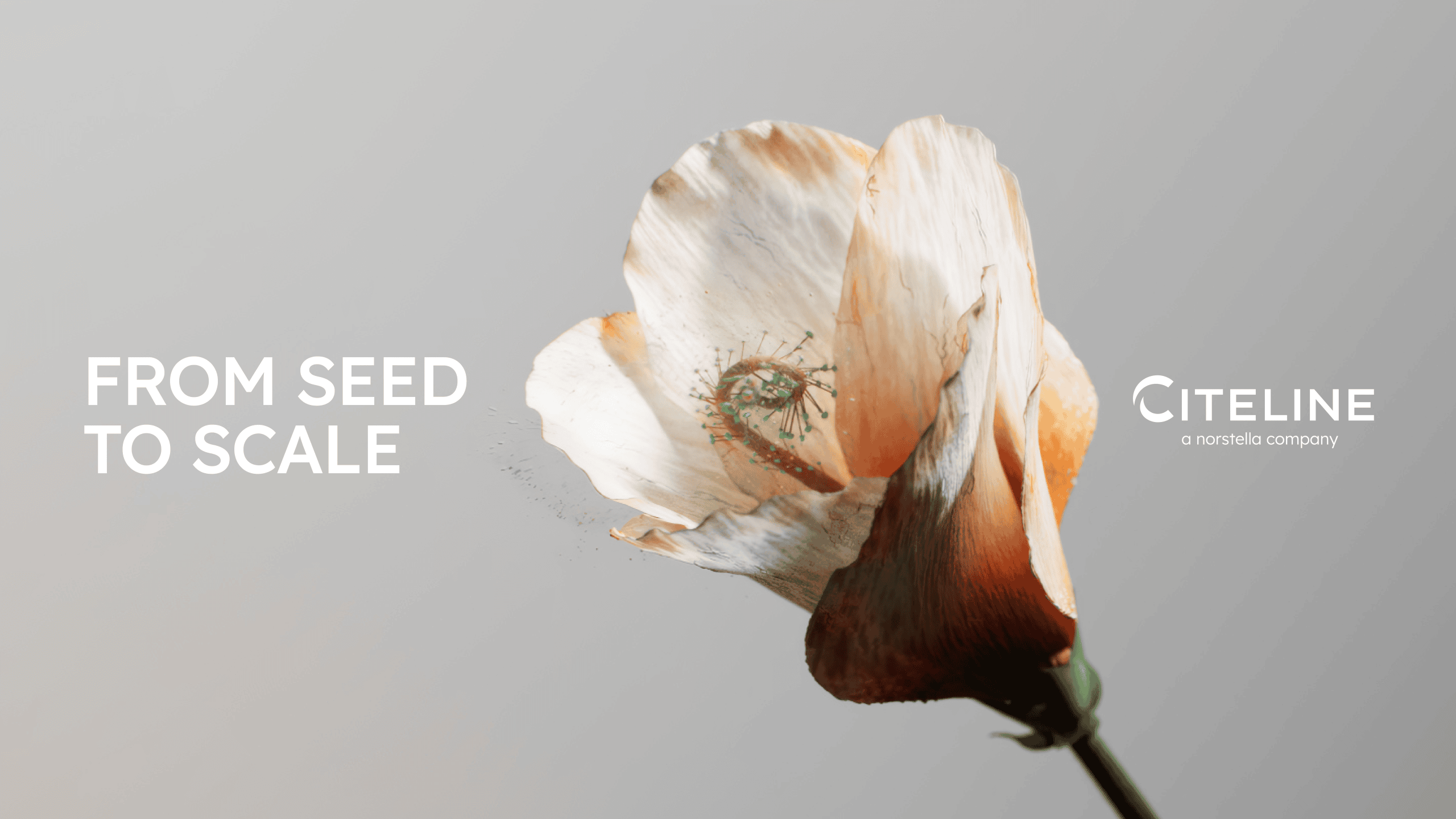Reimagining deep data as a living campaign.