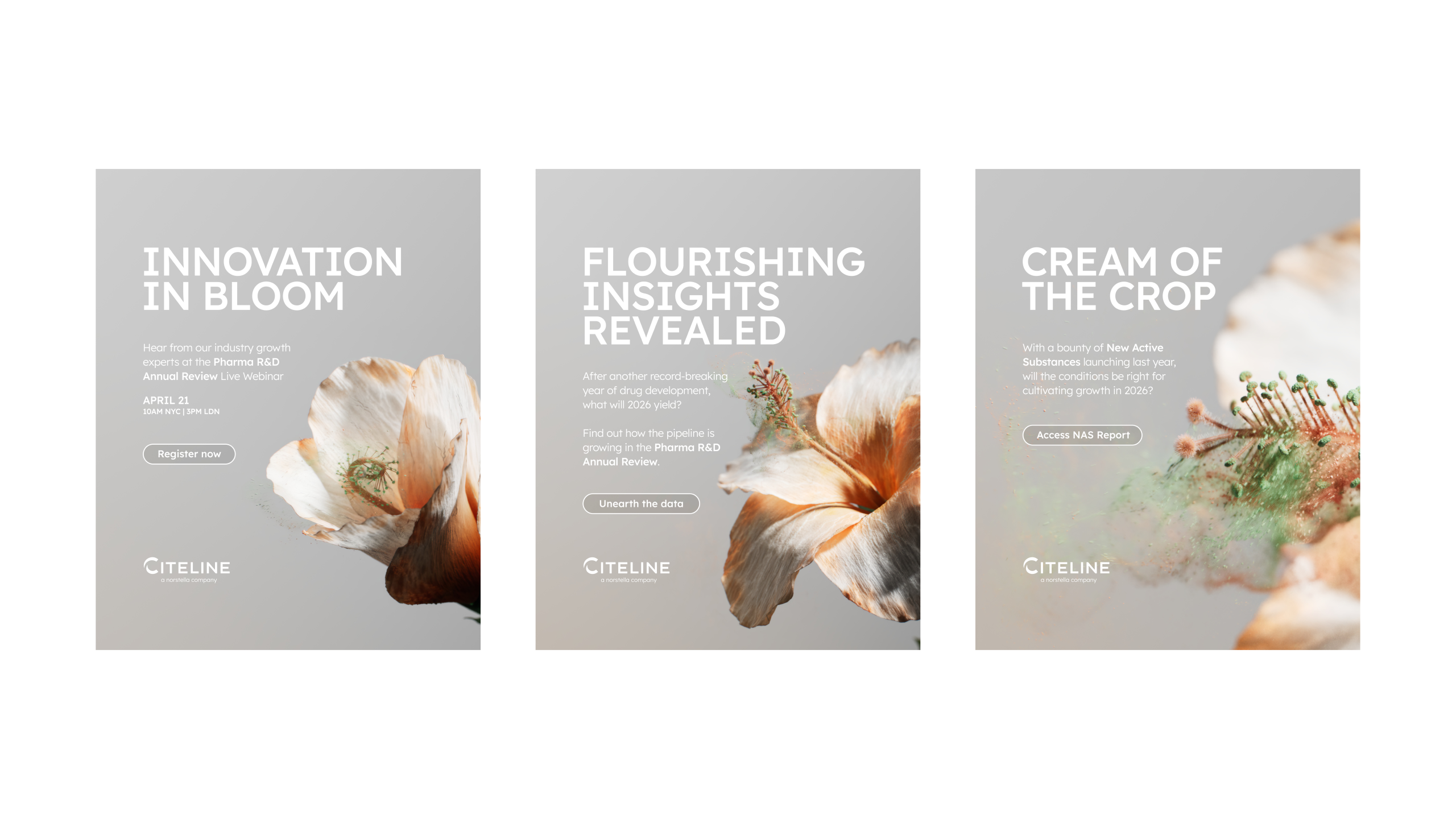 Reimagining deep data as a living campaign.